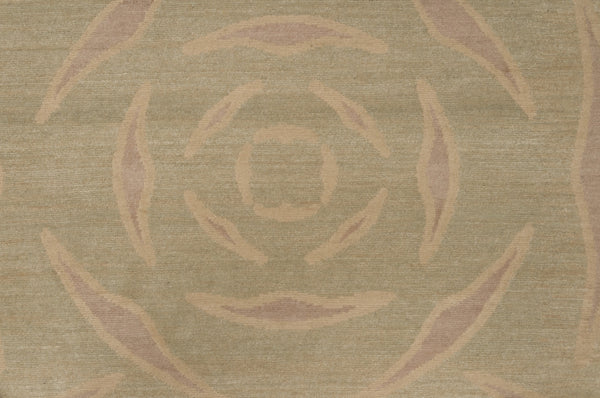 Rosa Sericea - Faded Pink & Green