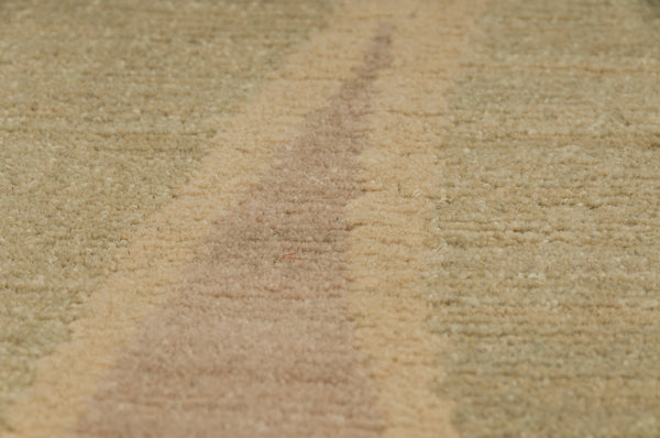 Rosa Sericea - Faded Pink & Green